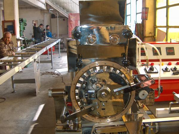 ЛИНИЯ ДЛЯ ПРОИЗВОДСТВА ПРЕССОВАННОГО САХАРА ТИПА C  МОДЕЛЬ TYO – 80 CP